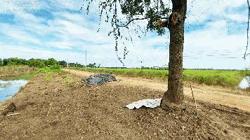 ขายที่ดินคลอง8 บึงบอน ปทุมธานี 133ตรว ถมแล้ว เหมาะปลูกบ้านสวน บรรยากาศดี น้ำไฟครบ ขายราคาถูก